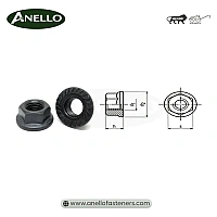 Flange Nut