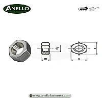 Hexagonal Nut